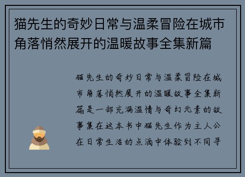 猫先生的奇妙日常与温柔冒险在城市角落悄然展开的温暖故事全集新篇